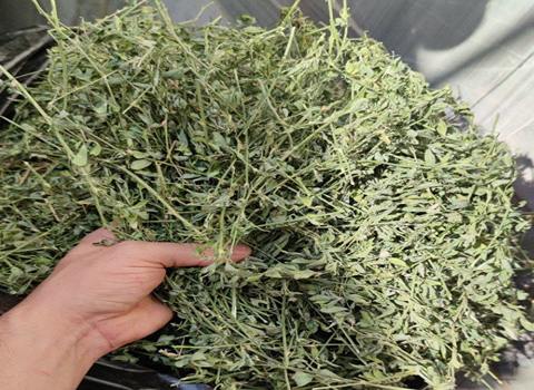 تصویر 1 از قیمت خوراک دام گیلان + خرید باور نکردنی